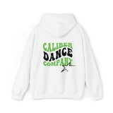 Caliber Groovy Unisex Premium Pullover Hoodie