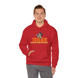 Brecksville Broadview Heights Hoodie