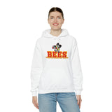 Brecksville Broadview Heights Hoodie
