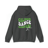 Caliber Groovy Unisex Premium Pullover Hoodie