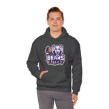 Copy of  Bears Football Unisex Hoodie
