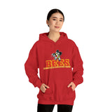 Brecksville Broadview Heights Hoodie