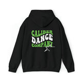 Caliber Groovy Unisex Premium Pullover Hoodie