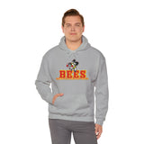 Brecksville Broadview Heights Hoodie