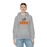 Brecksville Broadview Heights Hoodie