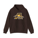 Bruins Cheerleading Unisex Heavy Blend™ Hooded Sweatshirt