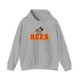 Brecksville Broadview Heights Hoodie