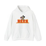 Brecksville Broadview Heights Hoodie