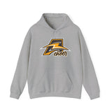 Bruins Cheerleading Unisex Heavy Blend™ Hooded Sweatshirt