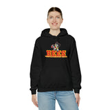 Brecksville Broadview Heights Hoodie