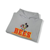 Brecksville Broadview Heights Hoodie