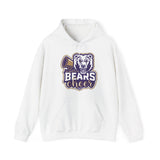 Copy of  Bears Football Unisex Hoodie