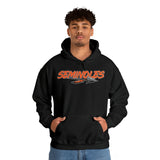 Seminoles Unisex Premium Pullover Hoodie