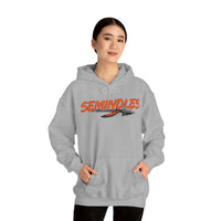 Seminoles Unisex Premium Pullover Hoodie