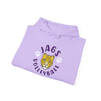 Jags Volleyball Heavy Blend Hooded Sweatshirt