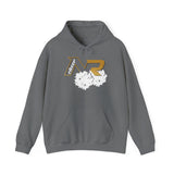 NR Cheer Unisex Heavy Blend™ Hooded Sweatshirt