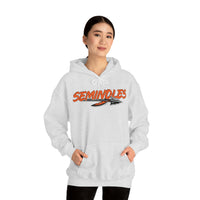 Seminoles Unisex Premium Pullover Hoodie