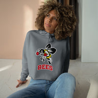 Brecksville Crop Hoodie
