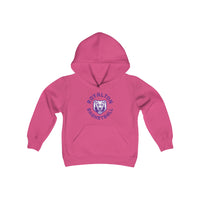 *Youth* Bears Circle Basketball Unisex Premium Pullover Hoodie