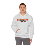 Seminoles Unisex Premium Pullover Hoodie