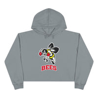 Brecksville Crop Hoodie
