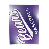 Bears Baseball Velveteen Plush Blanket