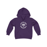 *Youth* Bears Circle Basketball Unisex Premium Pullover Hoodie