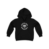 *Youth* Bears Circle Basketball Unisex Premium Pullover Hoodie