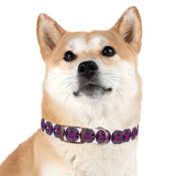 Manta Dog Collar